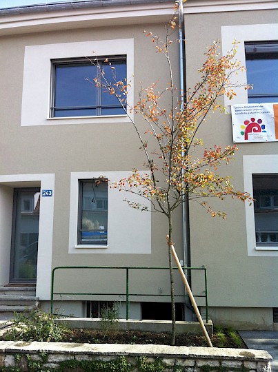 Sanierung Einfamilienhaus - private Bauherrschaft