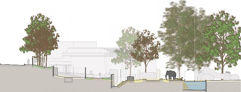 Elefantenanlage - Tembea