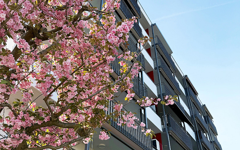 St. Jakobsstrasse 75-77